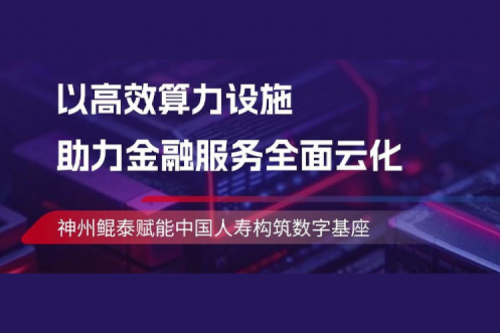 BB贝博艾弗森实践丨神州助力中国人寿构筑数字基座